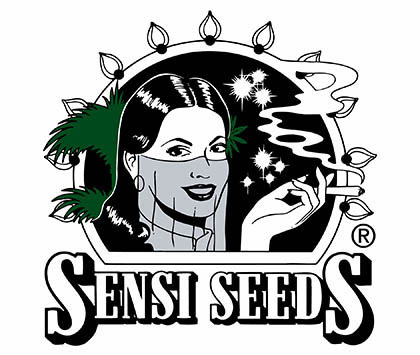 sensi seeds