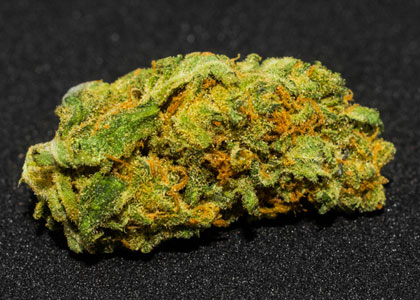 amnesia-haze-wiet-1 Amnesia Haze Wiet