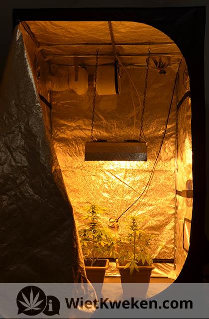 binnen-wiet-kweek-ruimte wiet kweken binnen tent