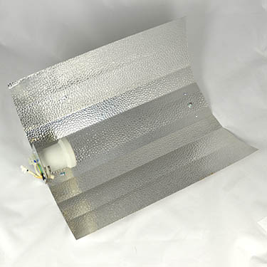 binnen-wiet-kweken-spiegelkap gehamerde spiegelkap wiet