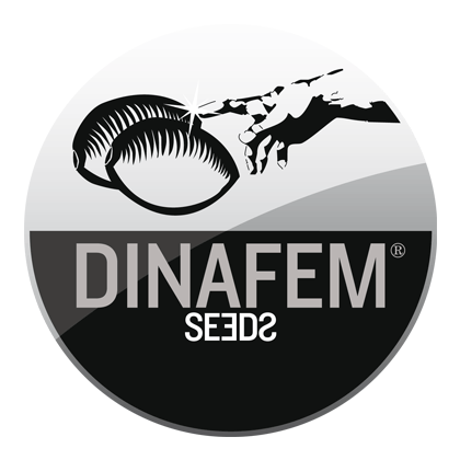 dinafem-logo Dinafem bedrijfslogo.