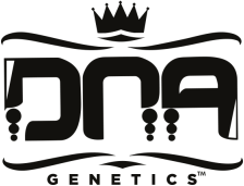 DNA Genetics Cannabis Seeds