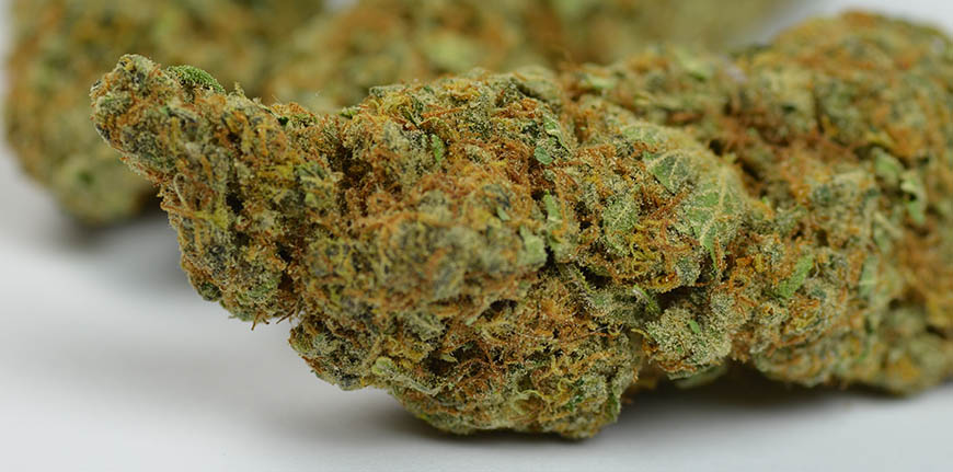 droge-silver-haze-wiet (1) droge wiet silver haze