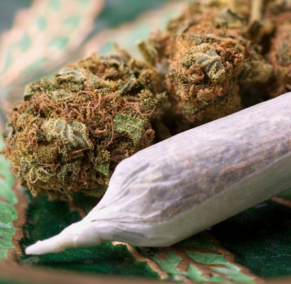 effect-amnesia-haze-na-roken Het effect van Amnesia Haze na het roken of vaporiseren is zeer krachtig.