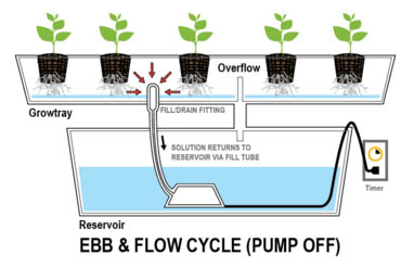hydro-overzicht-wiet-kweken hydro kweken overzicht