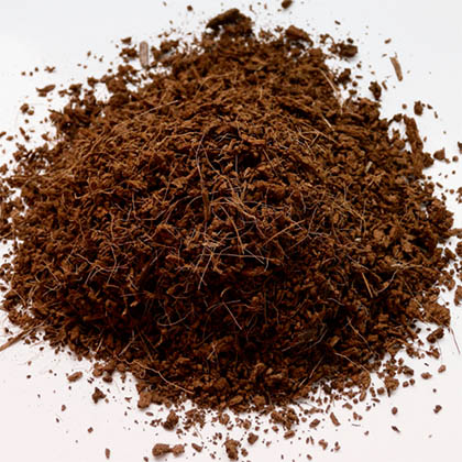 kweekmedium-wiet-kweken-op-cocos Kweekmedium cocos