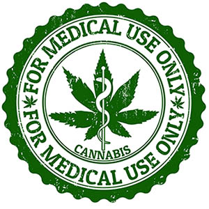medicinale cannabis kweken
