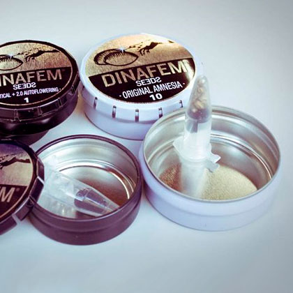 metalen-blikje-dinafem-verpakking De metalen blikjes van de Dinafem seeds verpakking