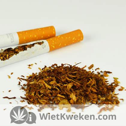 wiet-en-tabak-sigaret-inhoud joint draaien van sigaret