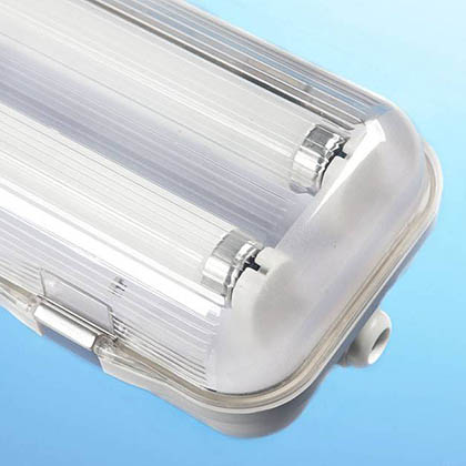 kweken onder TL lampen