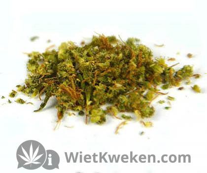 wiet-verkruimelde-wiet wiet verkruimeld