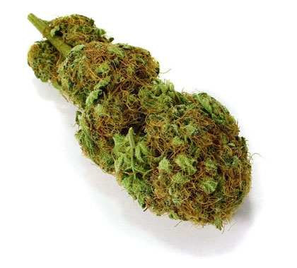 wiet-weed-top Wiet (weed) top