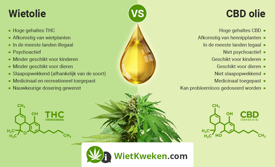 wietolie-vs-cbd-olie De verschillen tussen Wietolie (THC olie) en CBD olie.