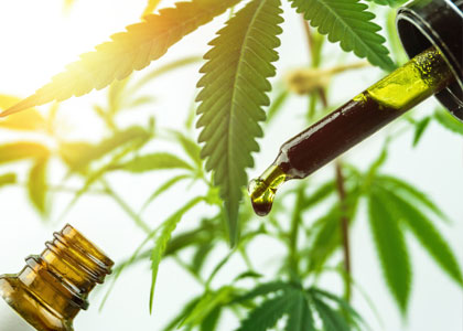 zelfgemaakte-wietolie Zelfgemaakte wietolie (THC-olie)