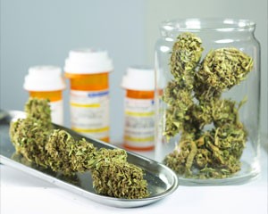 Medicinale cannabis voor het bestrijden van medische klachten.